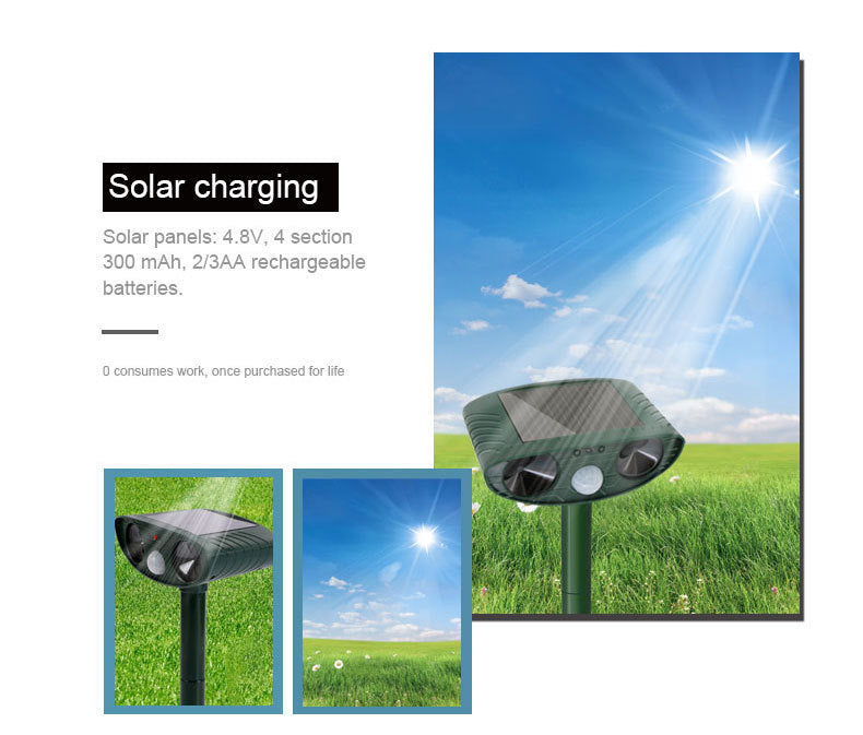 Wholesale of spot solar ultrasonic drivers and animal driver